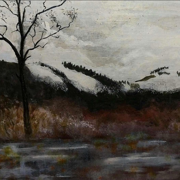 Taakekvad
